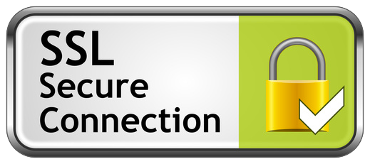 Selo SSL Secure Connection